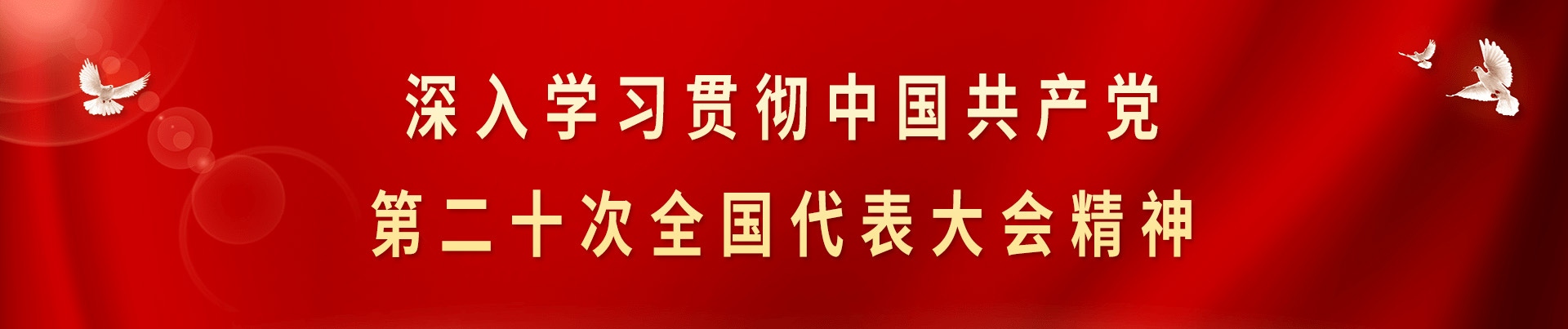 深入学习贯彻中国共产党第二十次全国代表大会精神