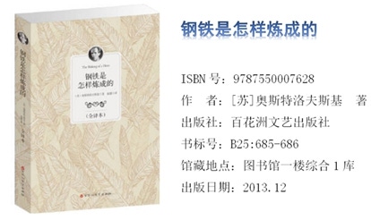 《钢铁是怎样炼成的》