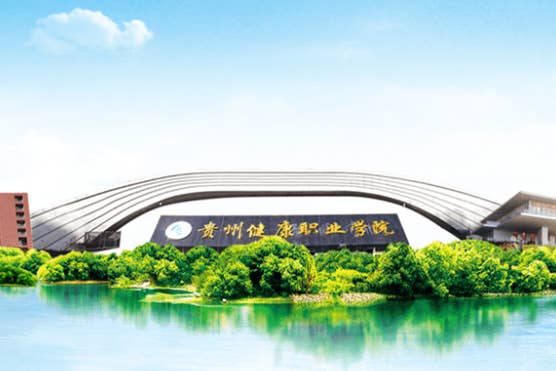 第三届 “中文 + 职业技能” 教育国际合作交流系列活动圆满举行